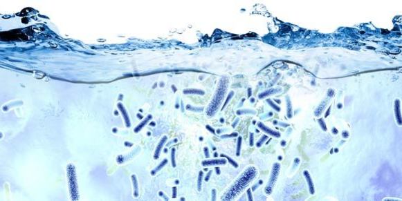 Legionella in Water image