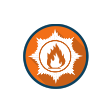 Online Fire Marshal Course